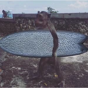 Meet your Posher, Charles